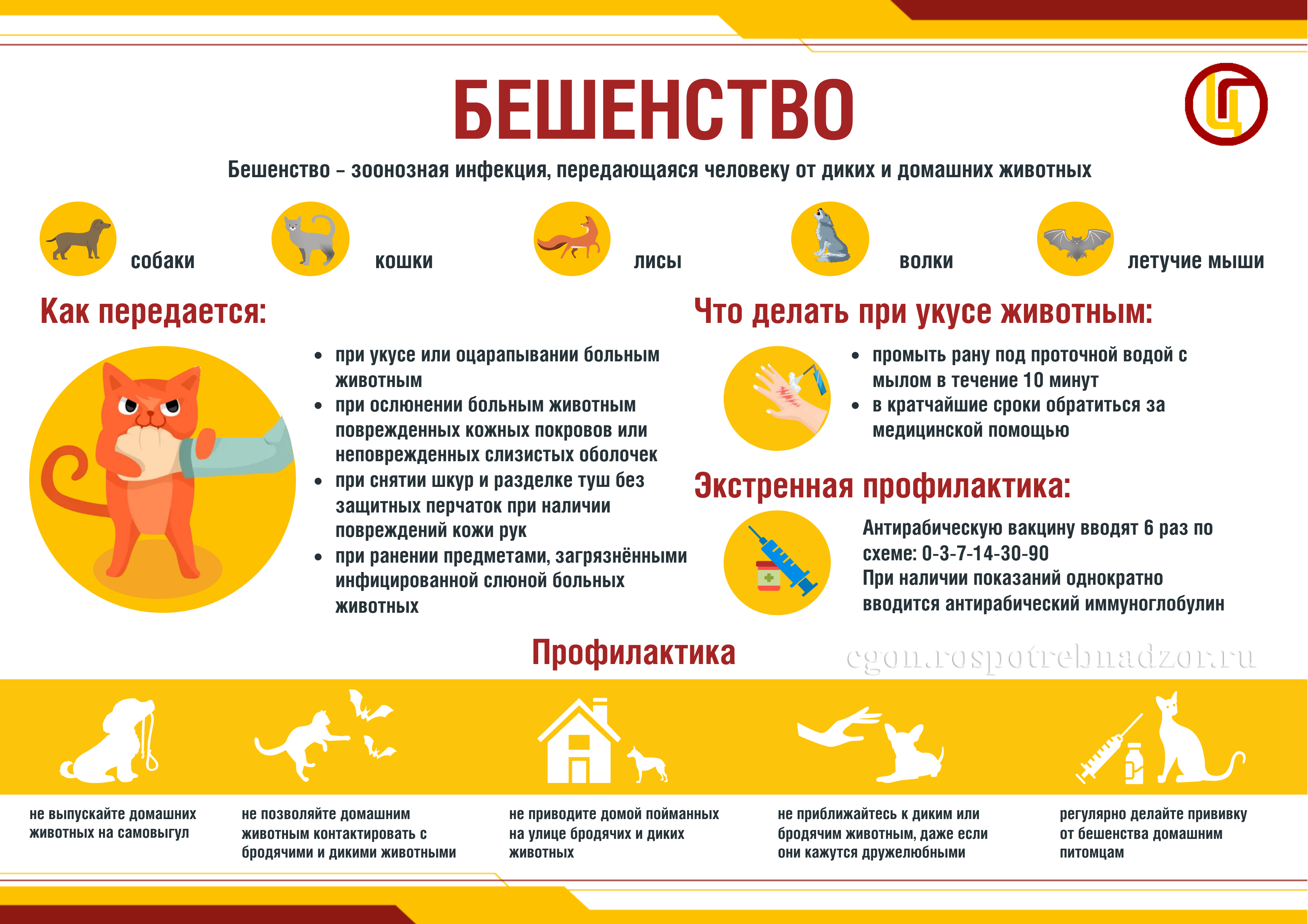 Бешенство__.png